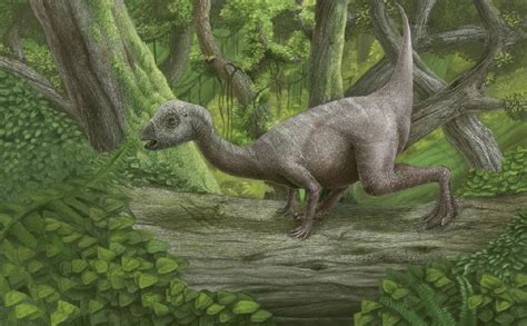 Hypsilophodon Pictures & Facts - The Dinosaur Database