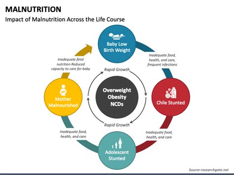 Malnutrition PowerPoint and Google Slides Template - PPT Slides