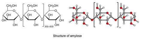 Amylose [(C6H10O5)n] - Structure, Properties and Uses of Amylose