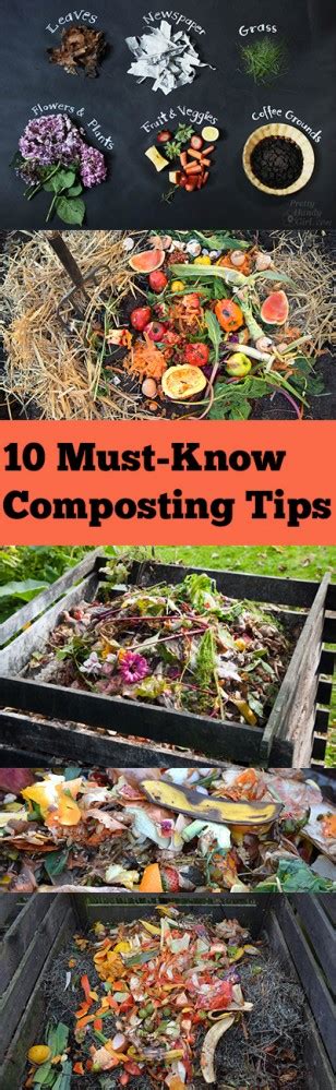 Must-Know Composting Tips And Tricks: Composting - Blessmyweeds.com