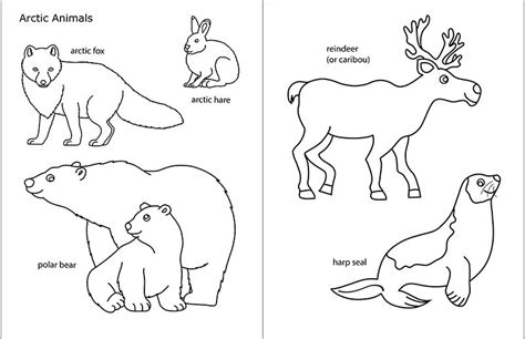 Winter Animals Coloring Pages for Preschool & book for kids.