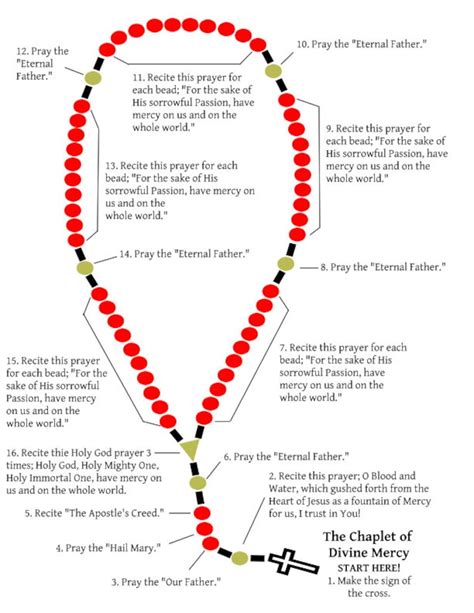 The Chaplet of Divine Mercy Guide - Etsy