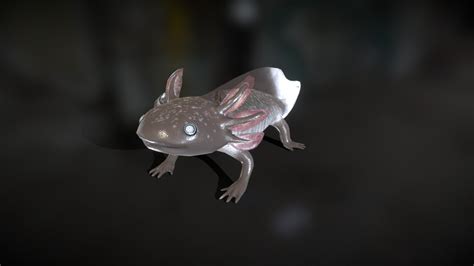 Firefly Axolotl - 3D model by njgageant [50b3d6a] - Sketchfab