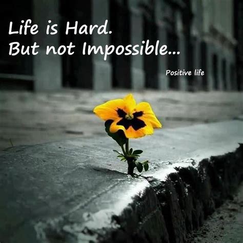 Life Is Hard Quotes 01 | QuotesBae