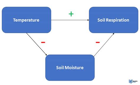 Experimental Design ~ The Five Key Steps