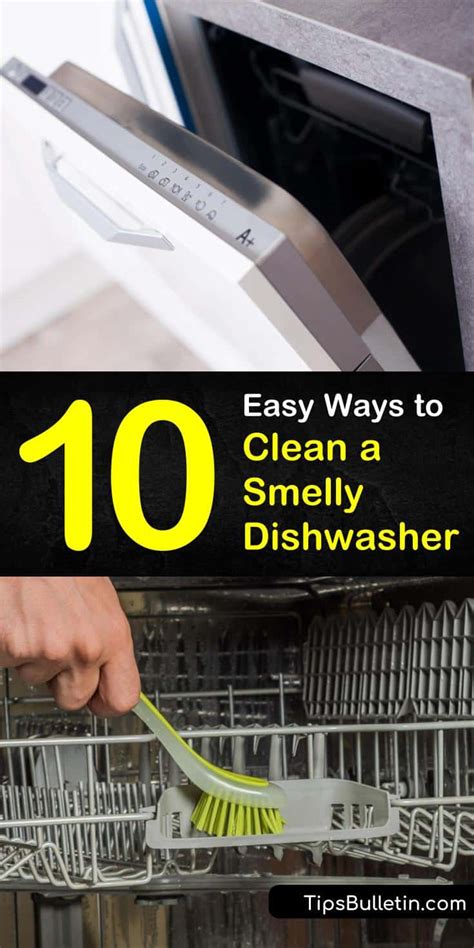 10 Easy Ways to Clean a Smelly Dishwasher