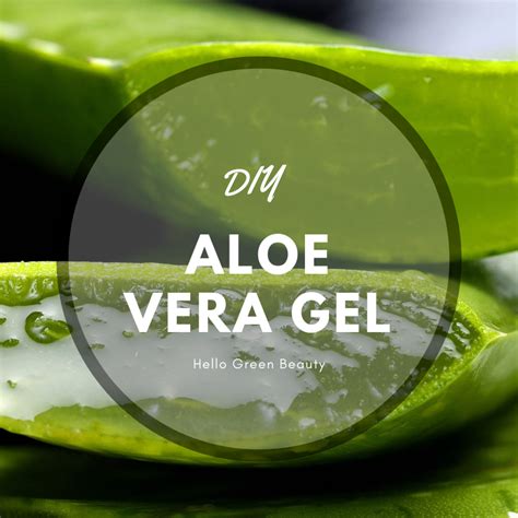 DIY: Soothing Aloe Vera Gel - Hello Green Beauty