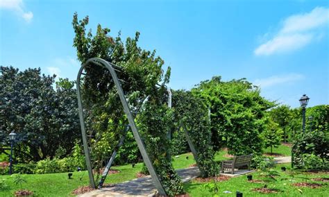 Changi Airport Terminal 3 Outdoor Butterfly Garden - LEPL