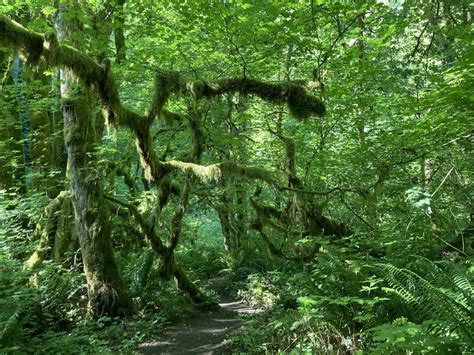 The 8 Best Hikes in Issaquah - Ordinary Adventures