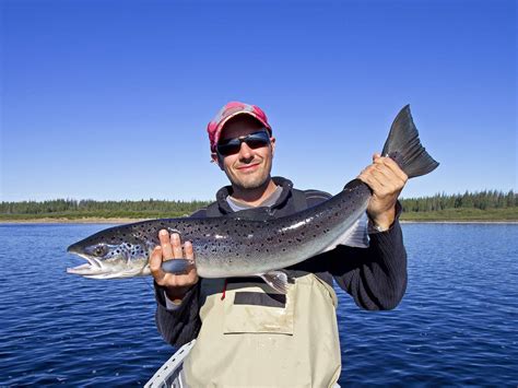 Salmon Fishing on Lake Superior: A Complete Guide | Gary Spivack