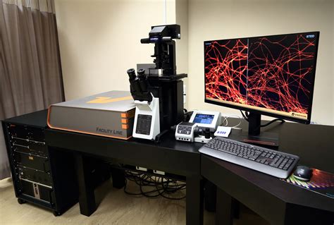 Abberior STED Super-resolution Microscope | ULS