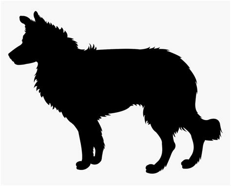 Border Collie Silhouette Vector, HD Png Download - kindpng