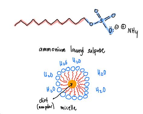 [Solved] Part G Explain how the structure of ammonium lauryl sulfate, as... | Course Hero