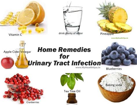 Home Remedies For Urinary Tract Infection | Natural remedies for uti, Treating uti naturally ...