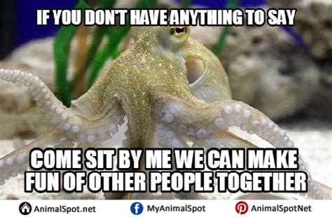 Funny Octopus Memes | Octopus, Funny animal memes, Memes