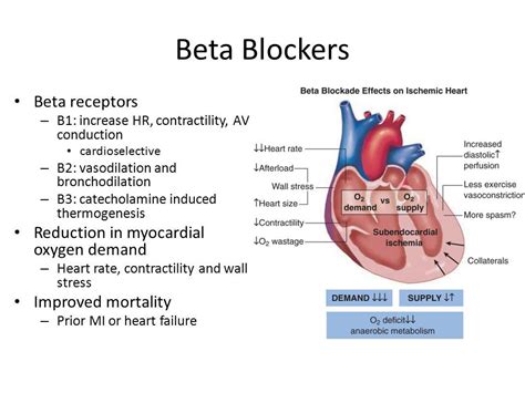 Image result for Beta blockers HYPERTENSION heart rate | Beta blockers ...