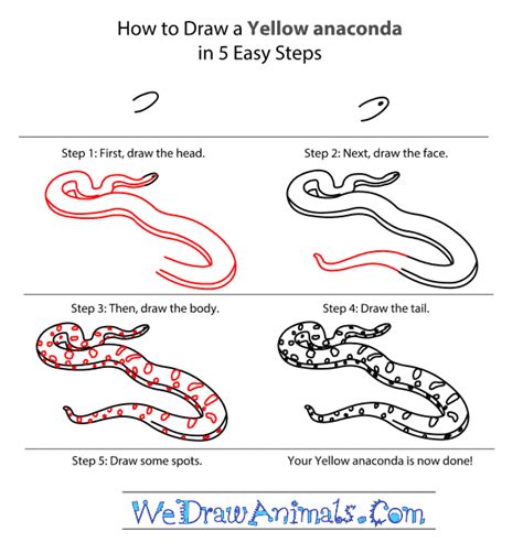 Anaconda Drawing at GetDrawings | Free download