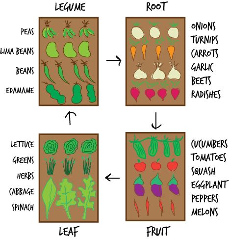 The Importance of Crop Rotation