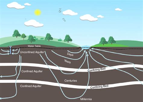 2 Groundwater flow system. | Download Scientific Diagram