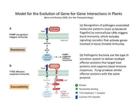 Molecular interaction