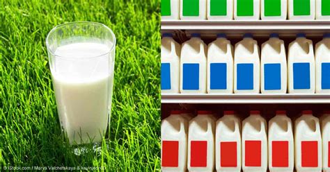 Raw Versus Pasteurized Milk: Which Is Safer for You?