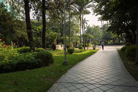 Spending A Quiet Moment In The Parks Of Guangzhou, China. | Travel ...