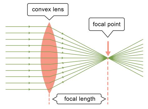 Explain How Lenses Form Images Worksheet - EdPlace