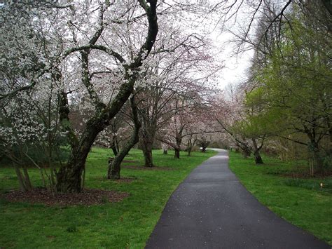 Suburban Gardeness: Morris Arboretum in March