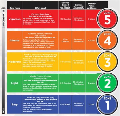 What is Heart Rate Training? Why Should You Do It?