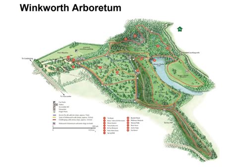 Winkworth Arboretum - Where To Go With Kids - Surrey