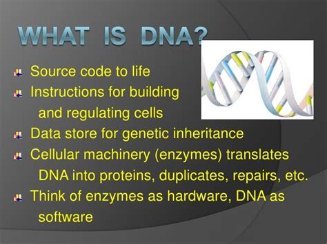 Dna computing