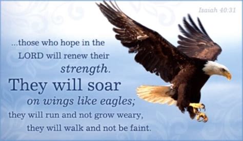 16 Top Bible Verses About Eagles - Powerful Scripture Analogies & Quotes