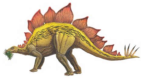 Stegosaurus: The giant herbivore with a deadly tail – How It Works