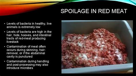 MICROBIAL SPOILAGE OF FOOD MICROBIAL SPOILAGE OF FOOD