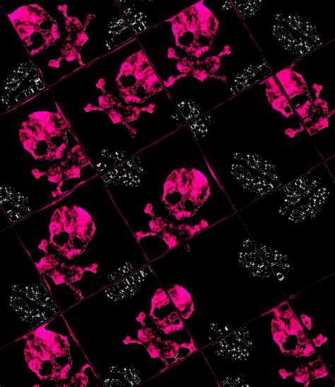 Glitter Sugar Skull Wallpaper ~ Skull Wallpapers Background Sugar Iphone Tiles Phone S5 Galaxy ...