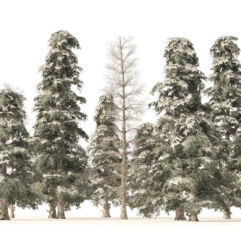 ArtStation - Winter Green Spruce Tree Forest | Resources