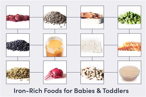 Top 25 Iron-Rich Foods for Babies & Toddlers - Solid Starts