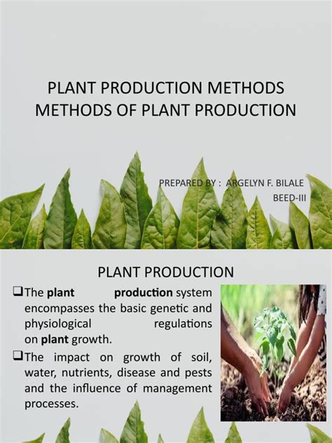 Plant Production Methods Argelyn F. Bilale | PDF | Soil | Plants