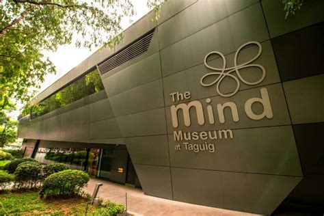 The Mind Museum - DATEM, Inc. | Your Trusted Builder