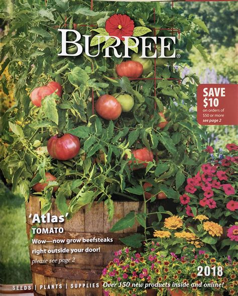 How to Get a Burpee Seed Catalog for 2018 In the Mail