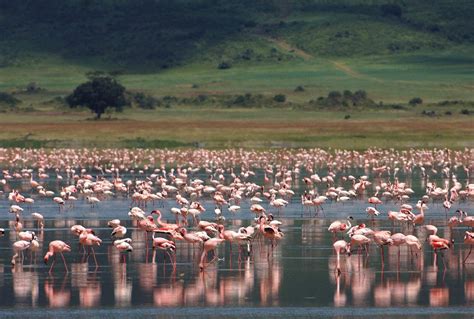 Ngorongoro Crater | Tanzania safaris | Expert Africa