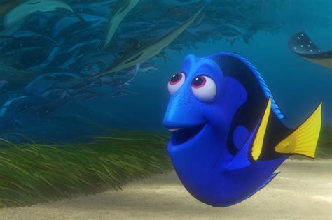 What kind of fish is Dory?