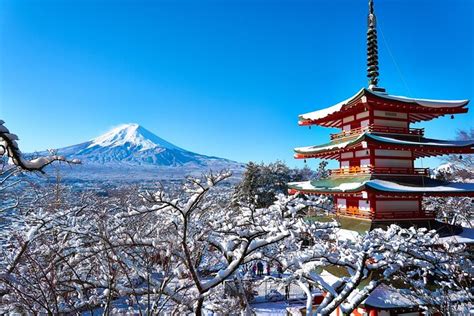 Scenic Spots of Mt Fuji and Lake Kawaguchi 1 Day Bus Tour 2024 ...