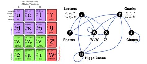 Elementary particles the fundamental interactions in the Standard [7]. | Download Scientific Diagram