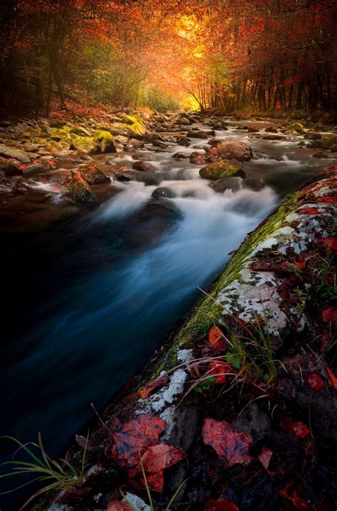 Fall colors in the Smokies (Tennessee) by Dean Fikar | Fall colors ...