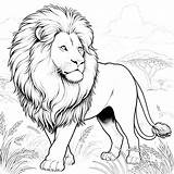 Lion Coloring Pages 3  Coloring Gem sketch template
