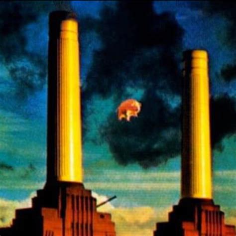 Waiting for a Pink Floyd Animals Live-Album & Box Set - Home