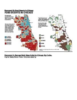 Food Deserts Chicago by Jennifer Jilek | Teachers Pay Teachers