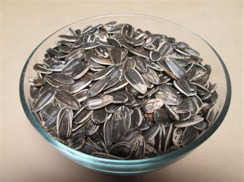 Raw Sunflower Seeds in Shell, 25 lbs / case — GREEN BULK