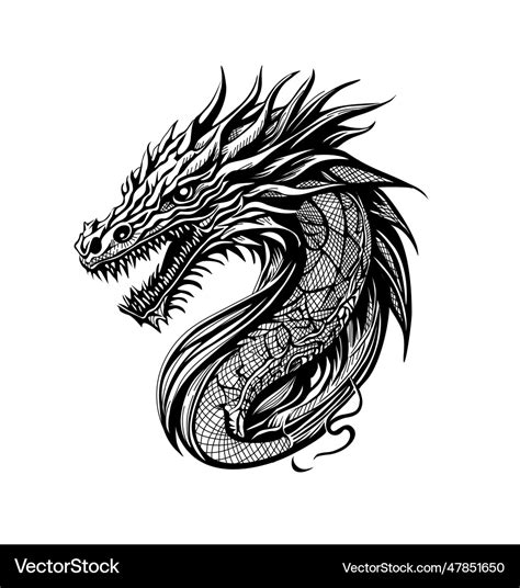 Japanese dragon black and white drawing Royalty Free Vector